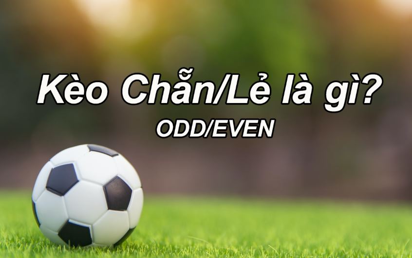 Tìm hiểu khái niệm kèo chẵn lẻ là gì